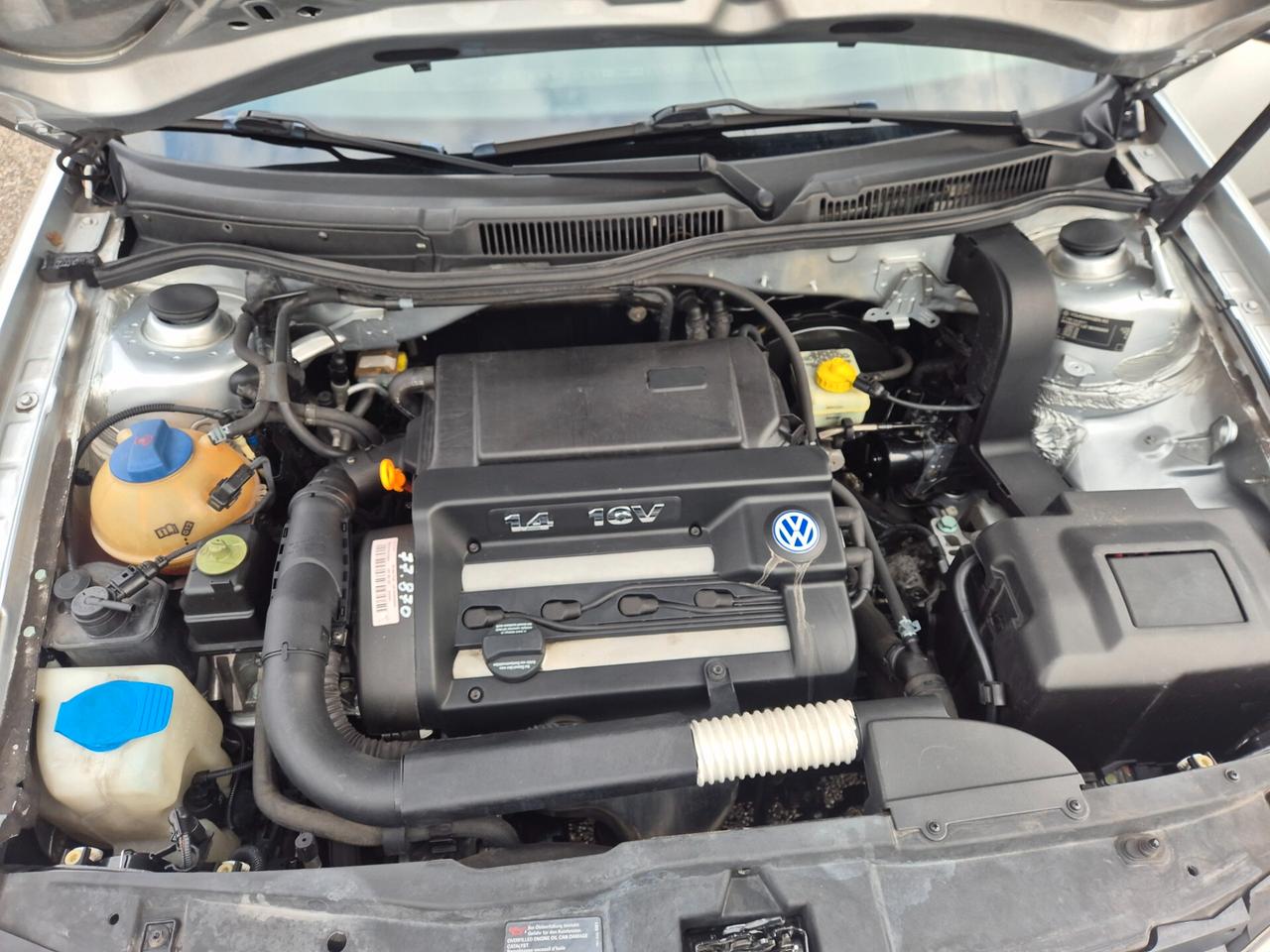 Volkswagen Golf 1.4 Benzina 16V cat 5 porte Euro 4