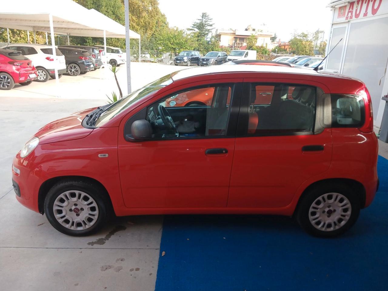 Fiat Panda 1.2 Easy KM 67900 GARANZIA TOTALE TENUTA MANIACALMENTE PERFETTA X INFO 3488938749