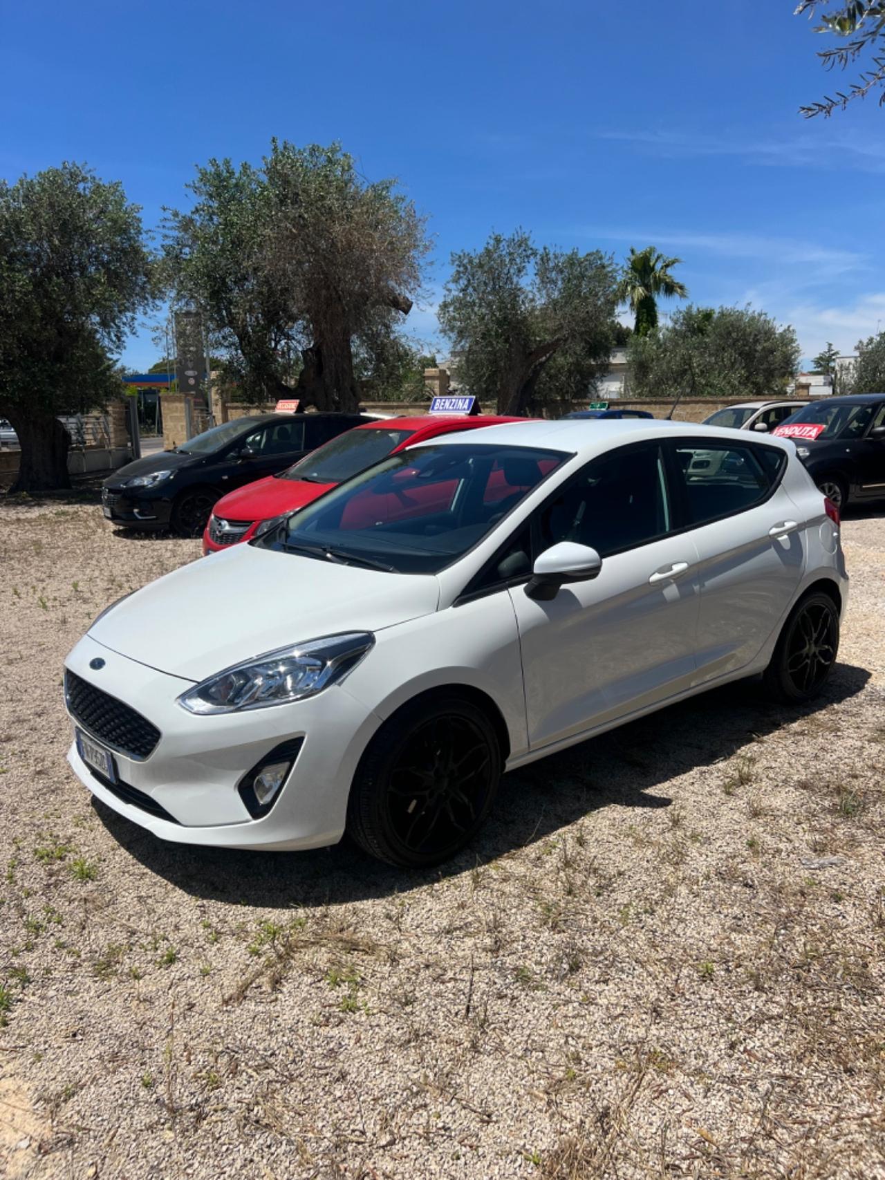 Ford Fiesta 1.5 TDCi 5 porte Titanium xfetta!!!