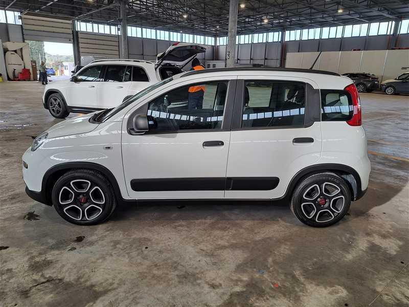 FIAT PANDA 1.0 FireFly 70cv S/S Hybrid City Life 5 PORTE