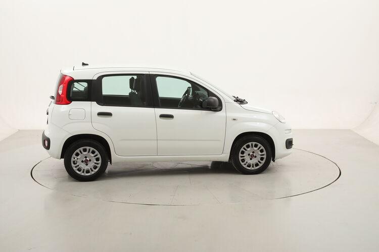 Fiat Panda Easy BR418514 1.3 Diesel 95CV