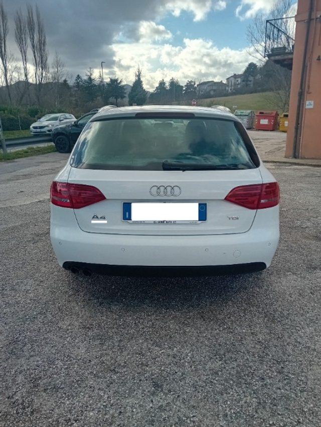 AUDI A4 Avant 2.0 TDI 120CV F.AP. Start Plus
