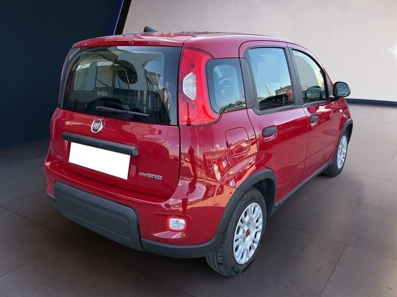 FIAT Panda My24 1.0 70cv Hybrid Panda