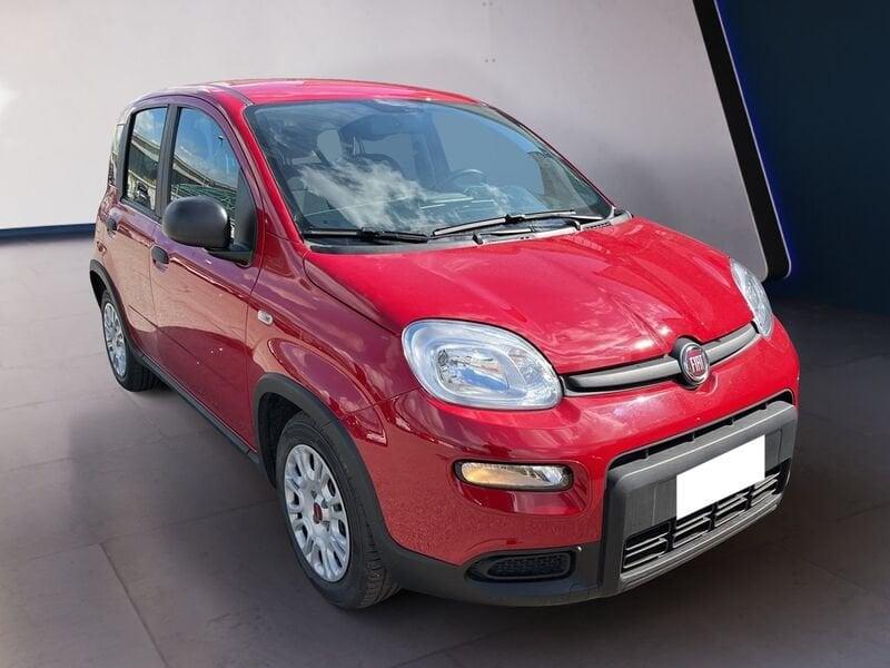 FIAT Panda My24 1.0 70cv Hybrid Panda