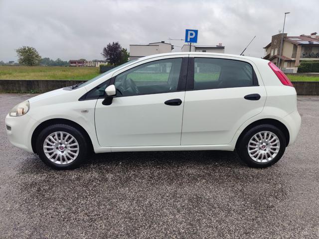 FIAT Punto 1.2 Benz. 5 Porte ( GARANZIA )