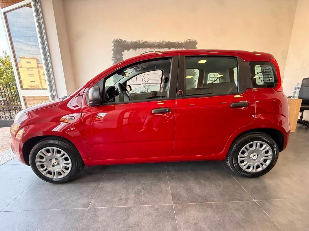 Fiat Pandina 1.0 firefly hybrid Icon s&s 65cv