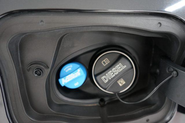 BMW X1 sDrive18d Business Advantage Italiana Tagliandata