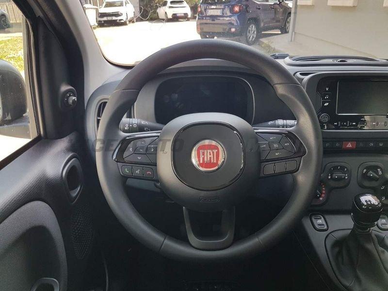 FIAT Panda Panda 1.0 firefly hybrid s&s 70cv