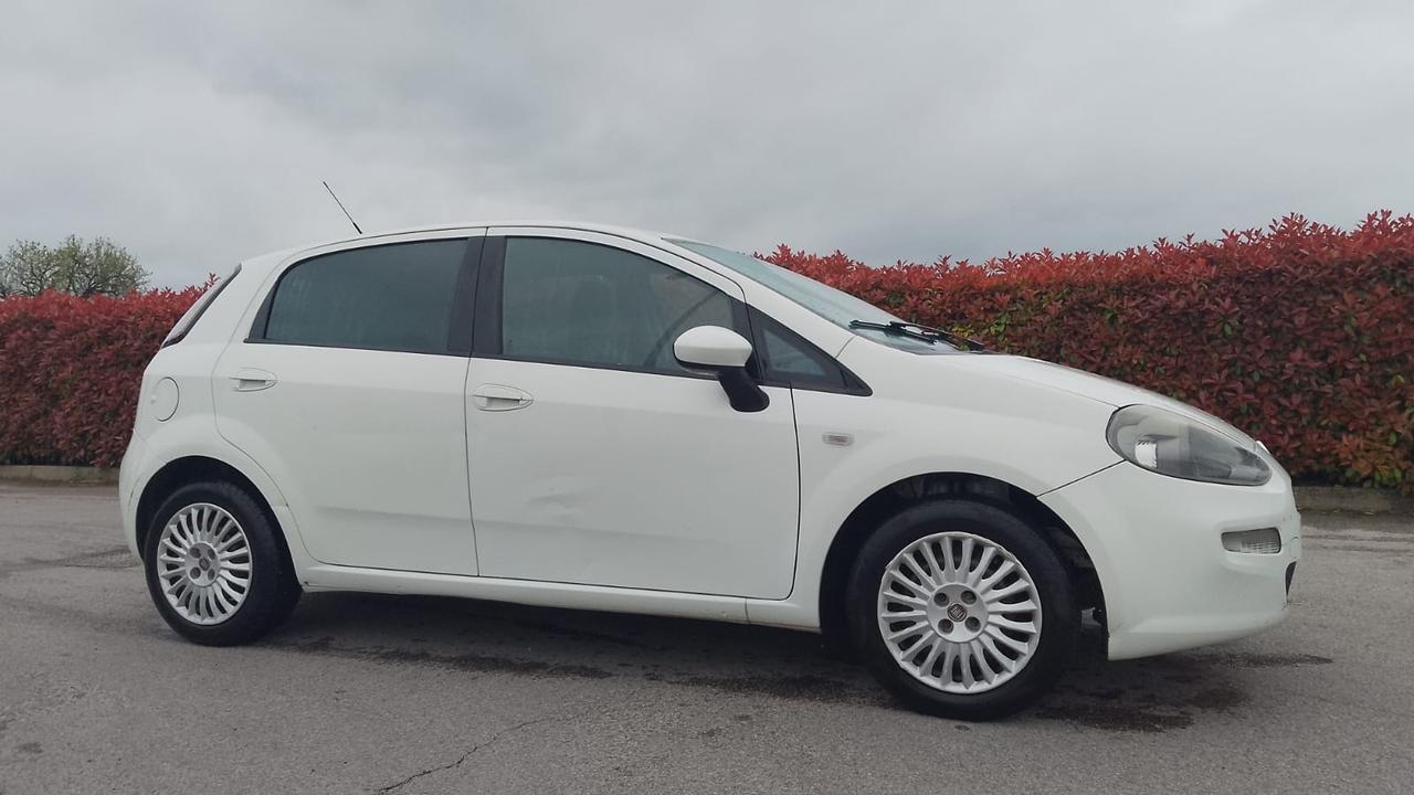 Fiat Punto 1.3 MJT 75CV 5 porte Van Easy 4 posti