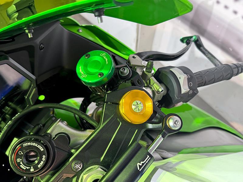 Kawasaki Ninja 1000 ZX-10R 40th Performance