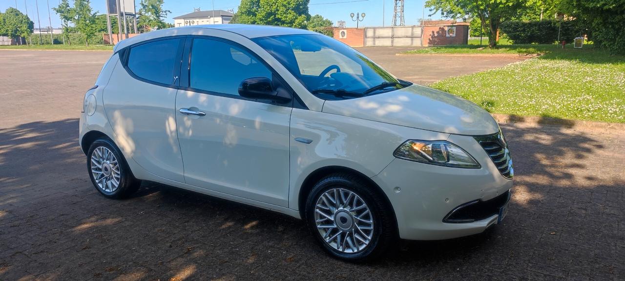 Lancia Ypsilon 1.3 MJT 16V 95 CV 5 porte S&S Gold