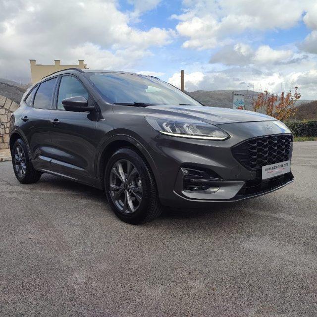 FORD Kuga 1.5 EcoBlue 120 CV aut. 2WD ST-Line