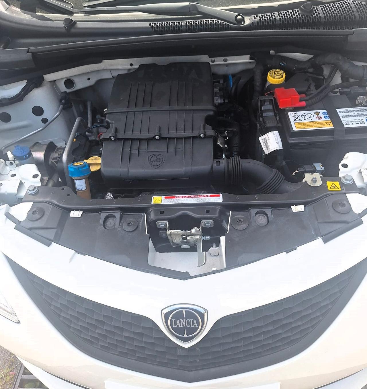Lancia Ypsilon 1.2 69 CV 5 porte S&S Gold plus - n101192