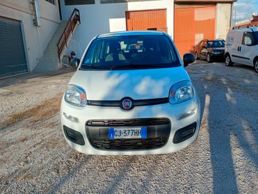 Fiat Panda 1.0 FireFly S&S Hybrid Pandina