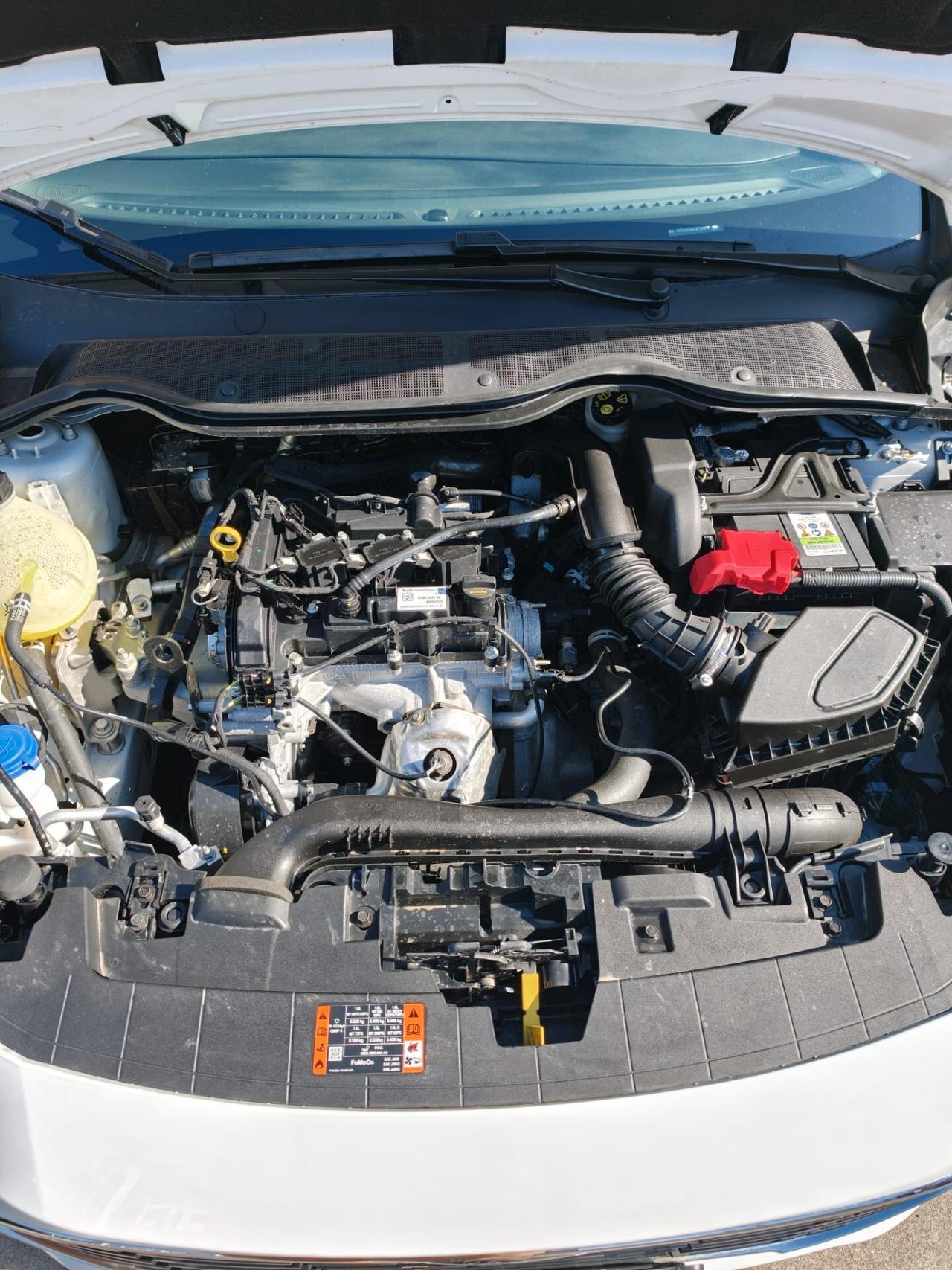 Ford Fiesta 1.1 75 CV 5 porte Titanium