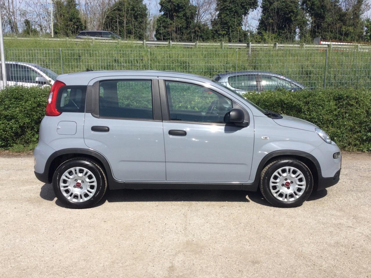 Fiat Panda 70Cv Hybrid City Life 5 posti