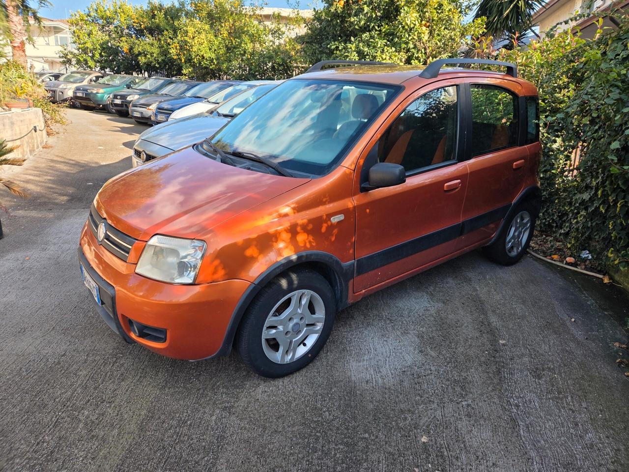 Fiat Panda 1.2 Climbing Natural Power - 2009