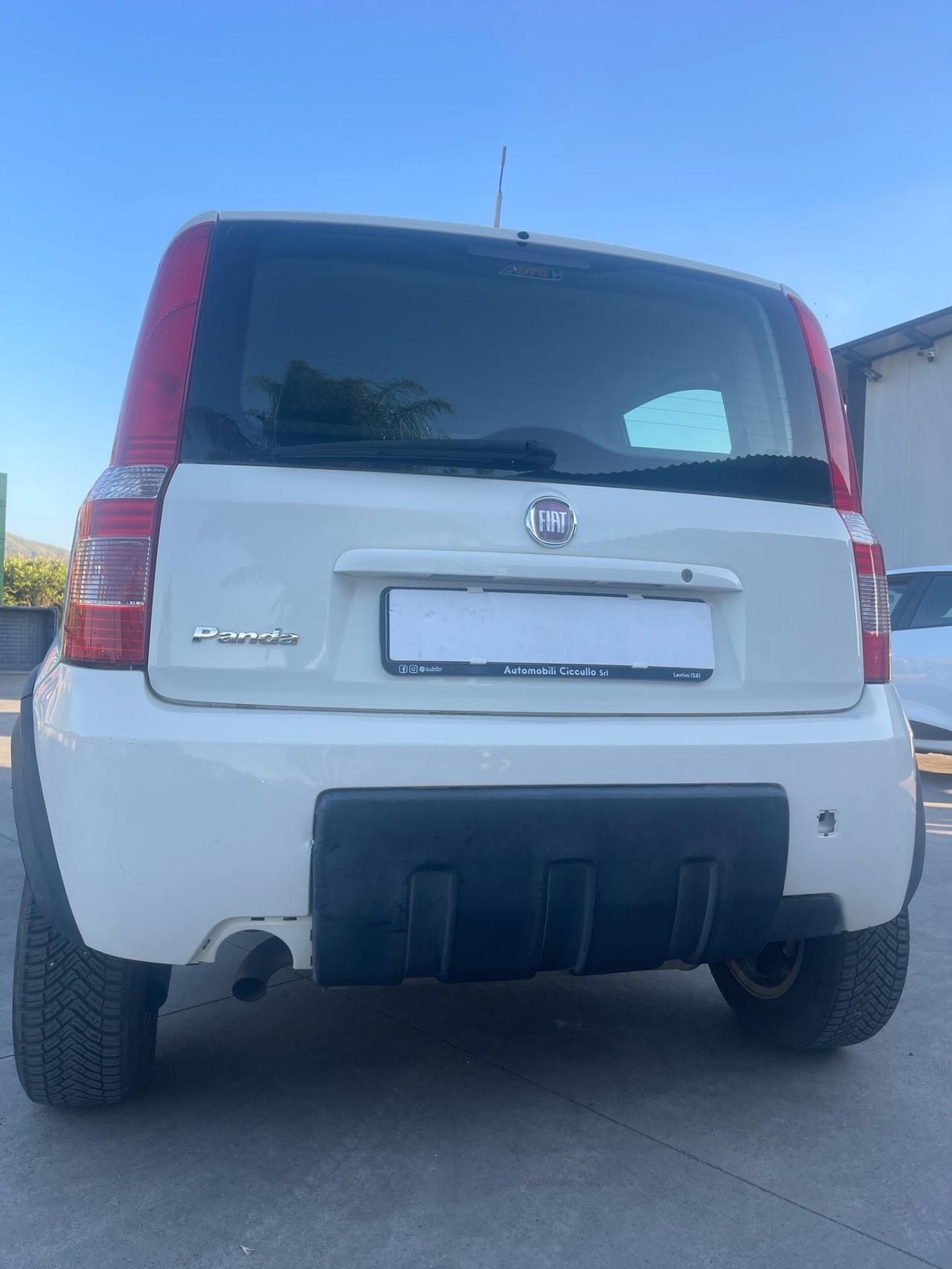 Fiat Panda 1.3 MJT S&S 4x4