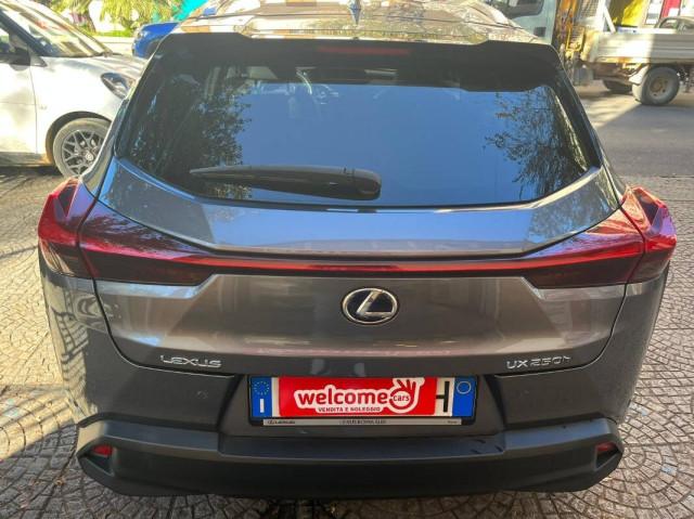 Lexus UX 2.0 Executive 4wd cvt