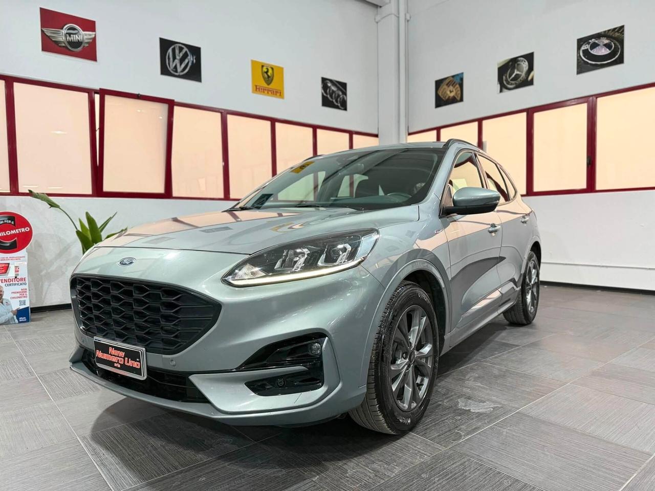 Ford Kuga 1.5 Ecoblue ST-Line 120cv Autom2022