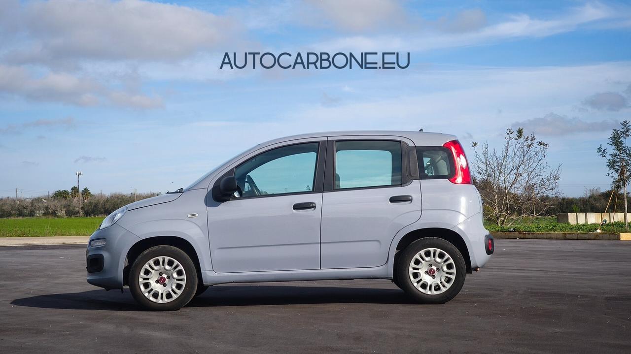 FIAT PANDA 1.2 69cv 2019 40000km Aziendale
