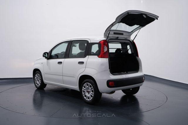 FIAT New Panda 1.2 Easy 4 posti N1 Autocarro della casa