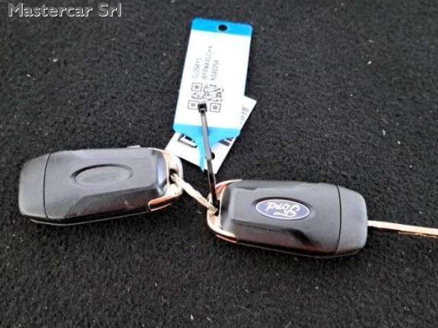 FORD Focus Focus V 2022 1.5 ecoblue Business 120cv Auto Co -P