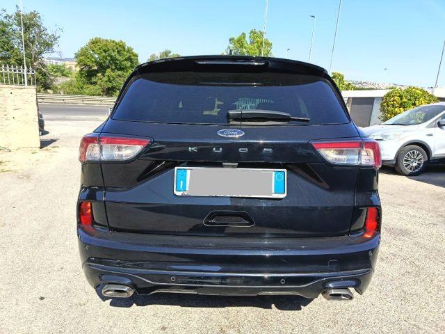 FORD Kuga 1.5 EcoBlue 120 CV 2WD ST-Line