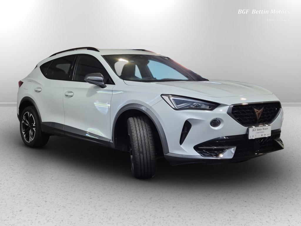 Cupra Formentor 2.0 tdi 4drive dsg