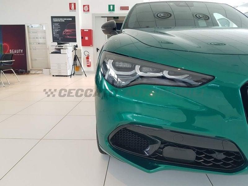Alfa Romeo Stelvio Stelvio My24 Turbo Diesel 210Cv Tributo Italiano