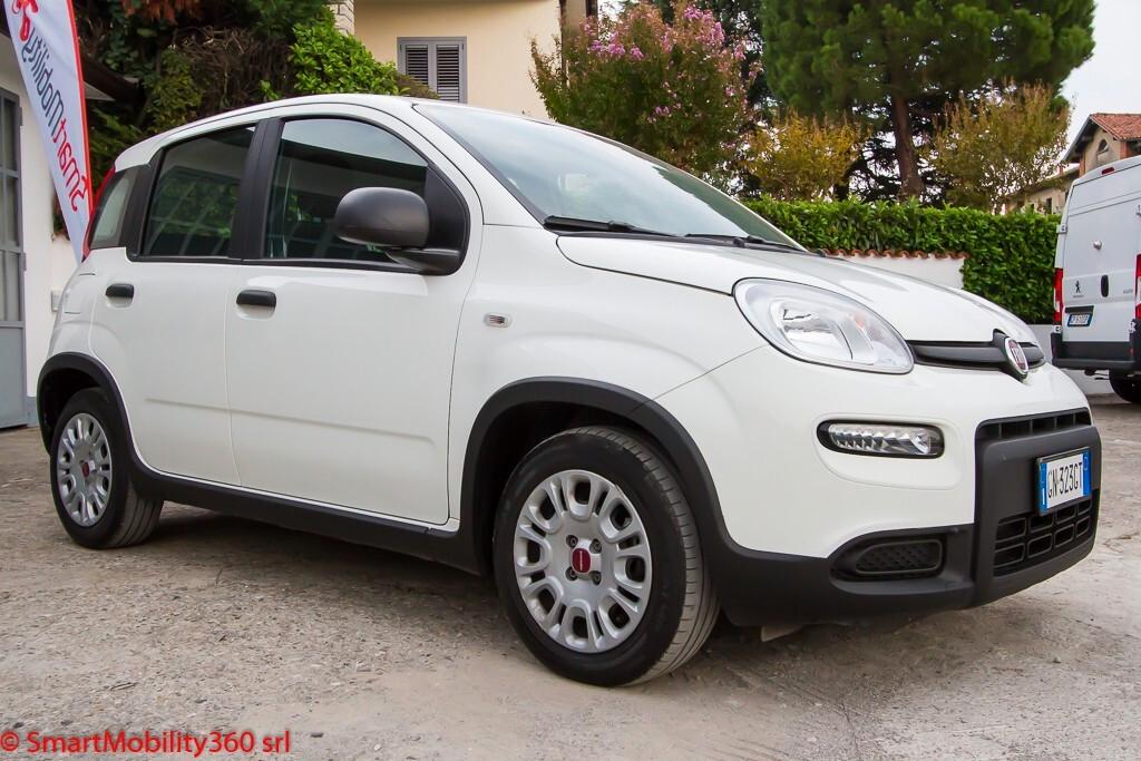Fiat Panda 1.0 FireFly S&S Hybrid - Ok neopatentati, prezzo vero senza obbligo di finanziamento!