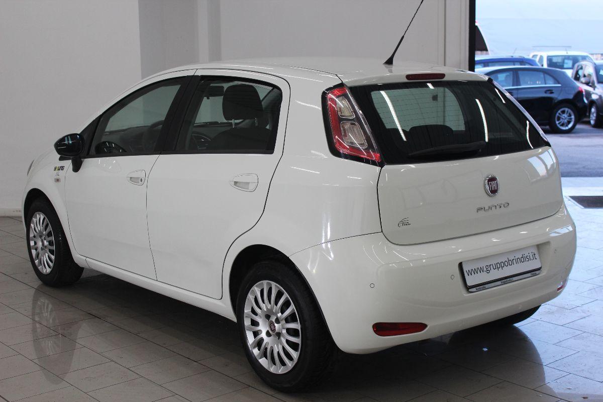 FIAT - Punto - 1.3 MJT II S&S 85 CV 5p.ECO Young