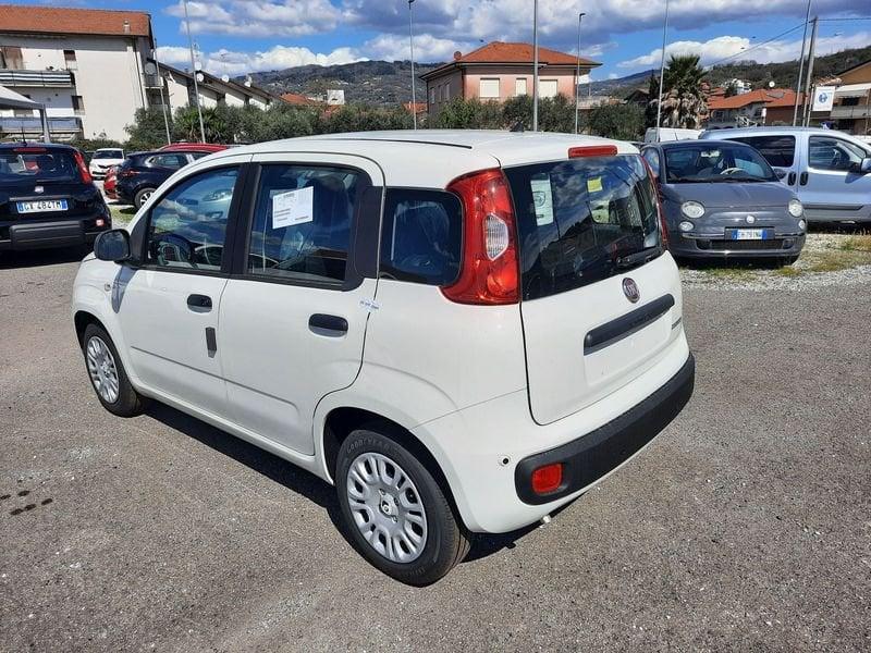 FIAT Pandina 1.0 FireFly 65cv S&S 6m Hybrid Icon
