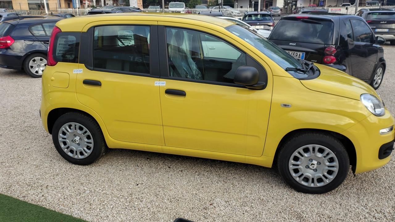 Fiat Panda Pandina 1.0 FireFly 70 CV Hybrid Pop