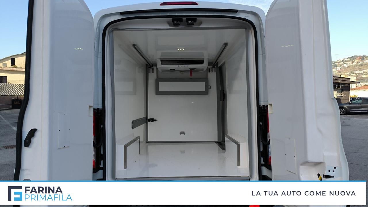 FORD Tran V363 TA Van Trd 170cv MHEV 350 L2H2