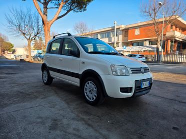 Fiat Panda 1.2 Climbing Natural Power
