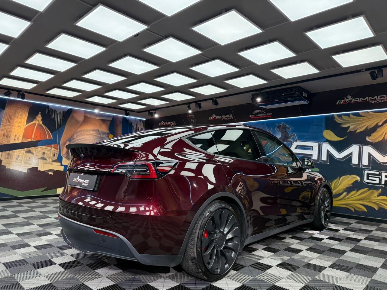 Tesla Model Y AWD Performance (423)