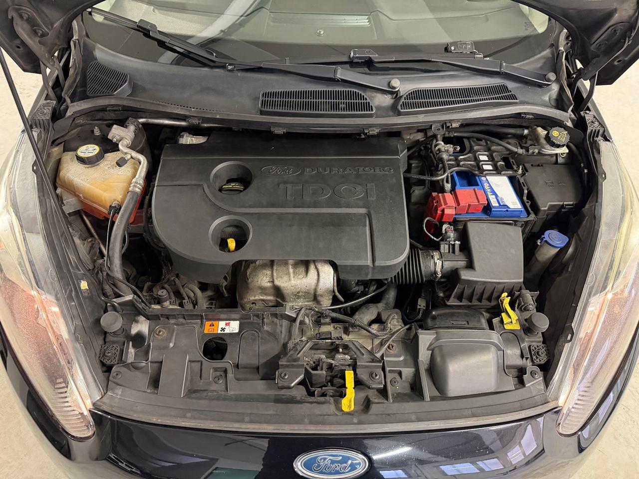 Ford Fiesta 1.5 TDCi 75CV 5 porte Titanium