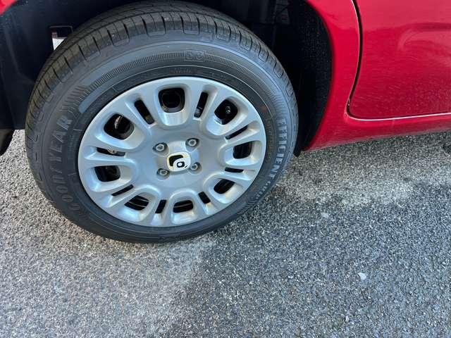 Fiat Panda Panda1.0 firefly hybrid KM 0 DIVERSI COLORI pronte