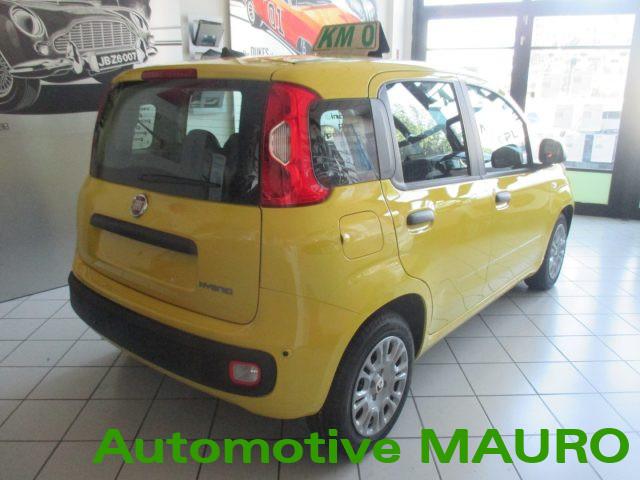 FIAT Pandina 1.0 FireFly 65 CV Hybrid Icon- NEOPATENTATI