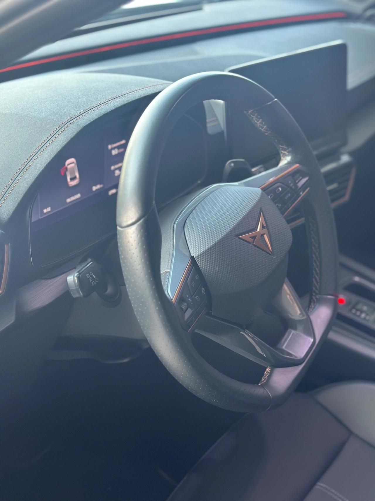 Cupra Formentor 2.0 TDI 4Drive DSG