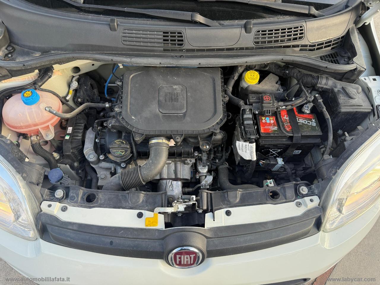 FIAT Panda 1.0 FireFly S&S Hybrid