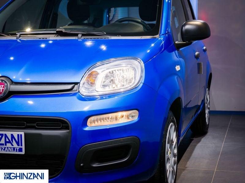 FIAT Panda Panda 1.0 FireFly S&S Hybrid Icon - "PREZZO VERO"