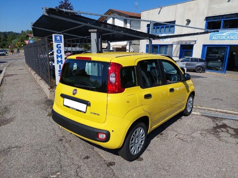 FIAT Panda 3ª serie Panda 1.0 FireFly S&S Hybr...
