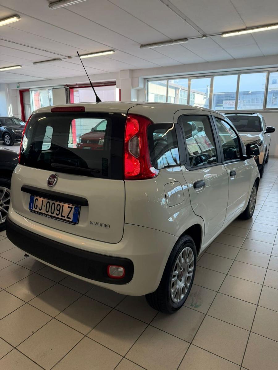 FIAT - Panda - 1.0 FireFly S&S Hybrid