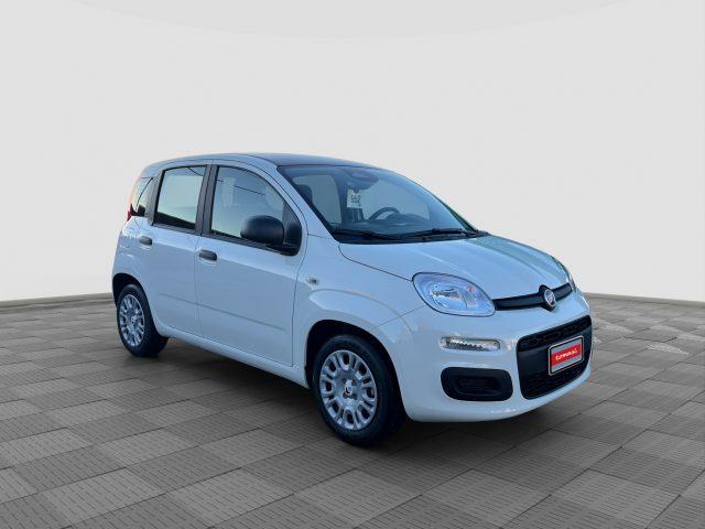 FIAT Panda Pandina 1.0 FireFly 65 CV Hybrid Icon