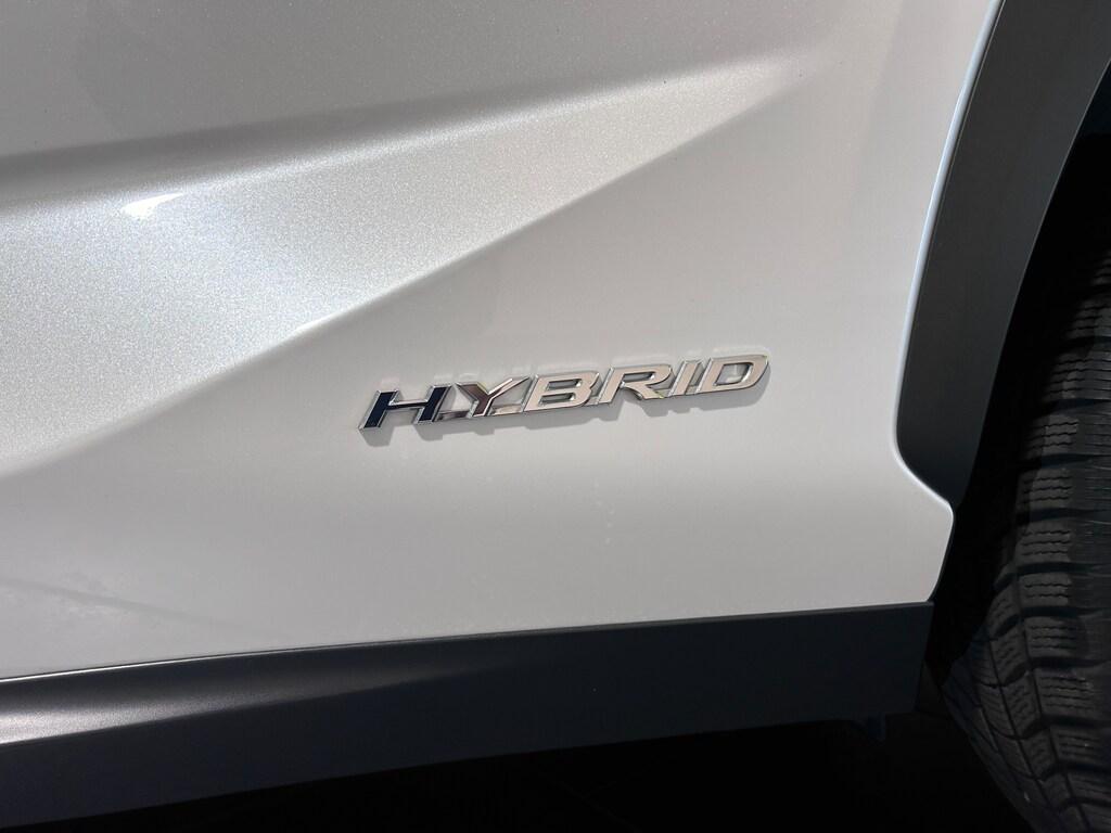 Lexus NX 300 300 2.5 Hybrid Luxury 4WD CVT