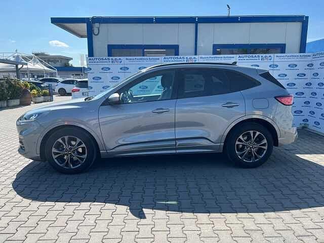 Ford Kuga 2.0 EcoBlue Hybrid 150 CV 2WD ST-Line