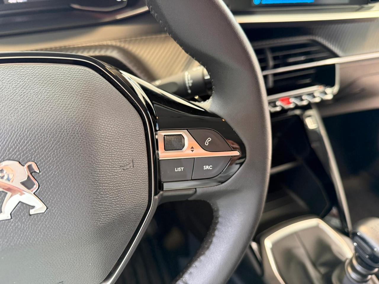 Peugeot 208 BlueHDi 100 Stop&Start 5 porte Active