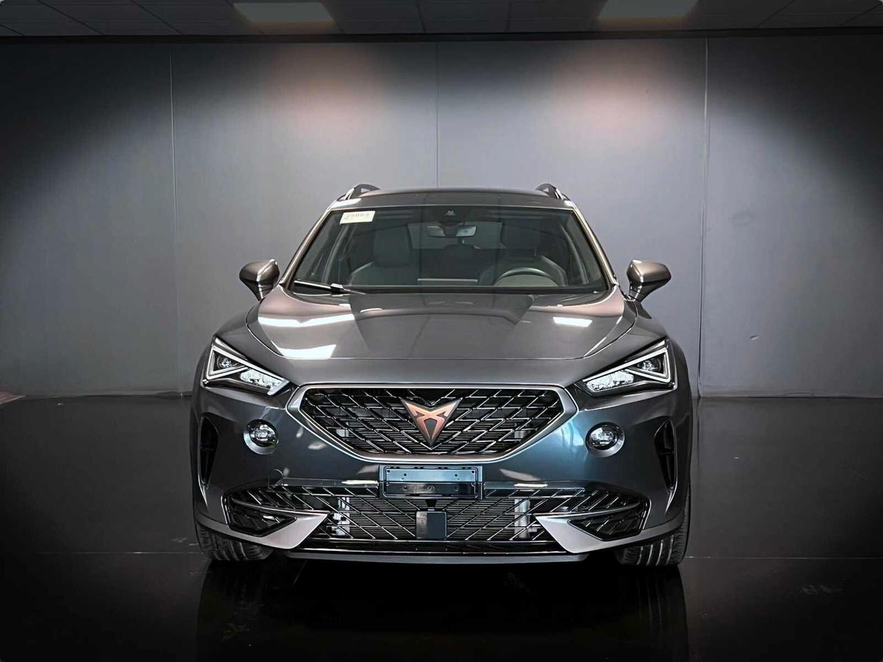 CUPRA FORMENTOR 2.0 CC TDI 150 CV 4DRIVE DSG